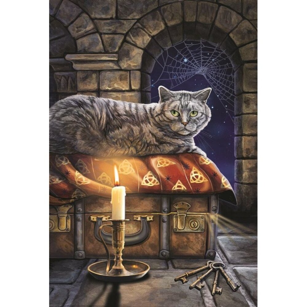 New Witches Cat Plush Throw Gift Blanket Sherpa Lisa Parker Witchcraft Enchanted - Picture 2 of 5